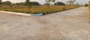 Plot Area in  Plot at Rudraram – for Sale