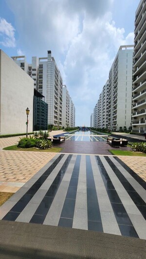 Apartment For Rent in Central Park Flower Valley, Sohna Sector 33