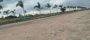 Plot Area in  Plot at Kandi – for Sale
