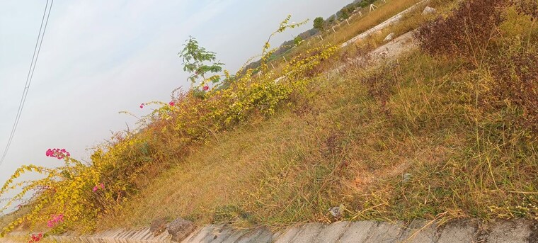 Garden, kandi  120 Sq.Ft. Plot In Kandi Hyderabad 10617330