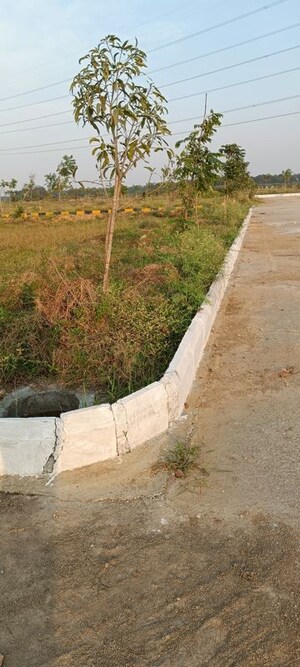 Plot Area in  Plot at Kandi – for Sale