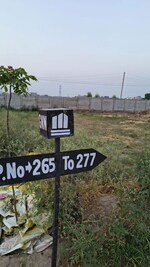 166 Sq.Yd. Plot in Bhago Majra Road
