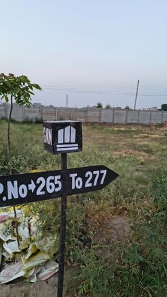 Plot For Sale in Bhago Majra Road