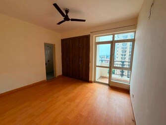 3 BHK + Store Room Apartment For Rent in Amrapali Verona Heights Phase II in Amrapali Leisure Valley, Greater Noida