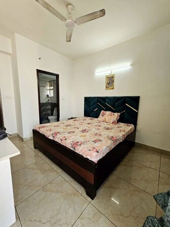 4 BHK + Store Room Apartment For Rent in Amrapali Verona Heights in Tech Zone 4 Greater Noida, Greater Noida
