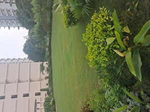 3 BHK Builder Floor For Sale in Sector 59