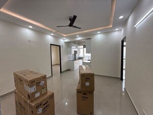 2 BHK Builder Floor For Rent in Sector 21