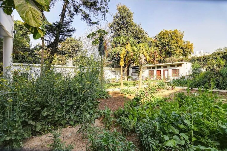 Garden, sainik farm 3 Bedroom 2700 Sq.Ft. Independent House In Sainik Farm Delhi 10618144