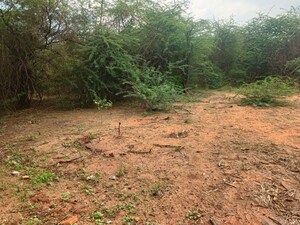 Plot Area in  Land at Kazipet – for Sale