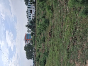  Plot For Sale in Sohna
