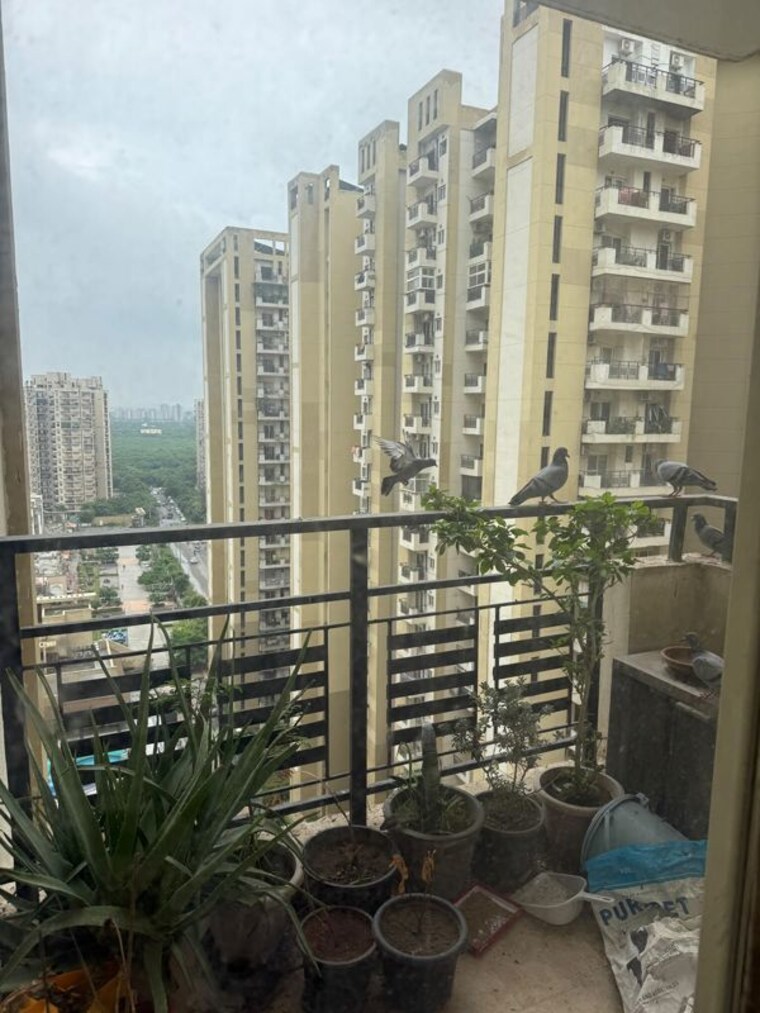 Exterior View, nimbus-express-park-view-ii 2.5 Bedroom 1114 Sq.Ft. Apartment In Chi V Greater Noida Greater Noida 10618644