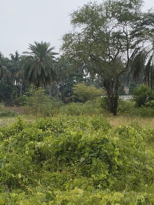 Plot Area in  Plot at Joka – for Sale
