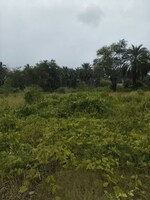 72000 Sq.Ft. Plot in Joka