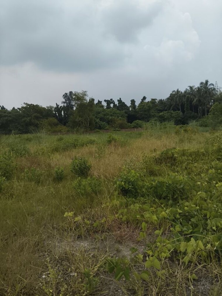 undefined, joka  72000 Sq.Ft. Plot In Joka Kolkata 10618762