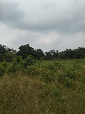 Plot Area in  Plot at Joka – for Sale