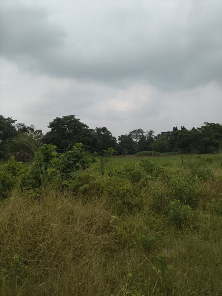 undefined, joka  72000 Sq.Ft. Plot In Joka Kolkata 10618762