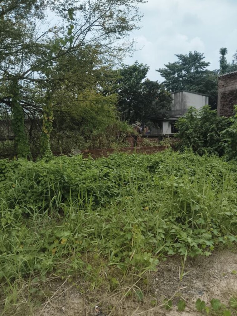 undefined, joka  72000 Sq.Ft. Plot In Joka Kolkata 10618762