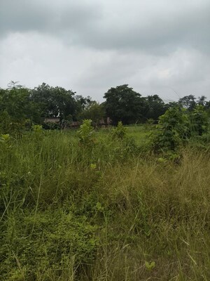 Plot Area in  Plot at Joka – for Sale