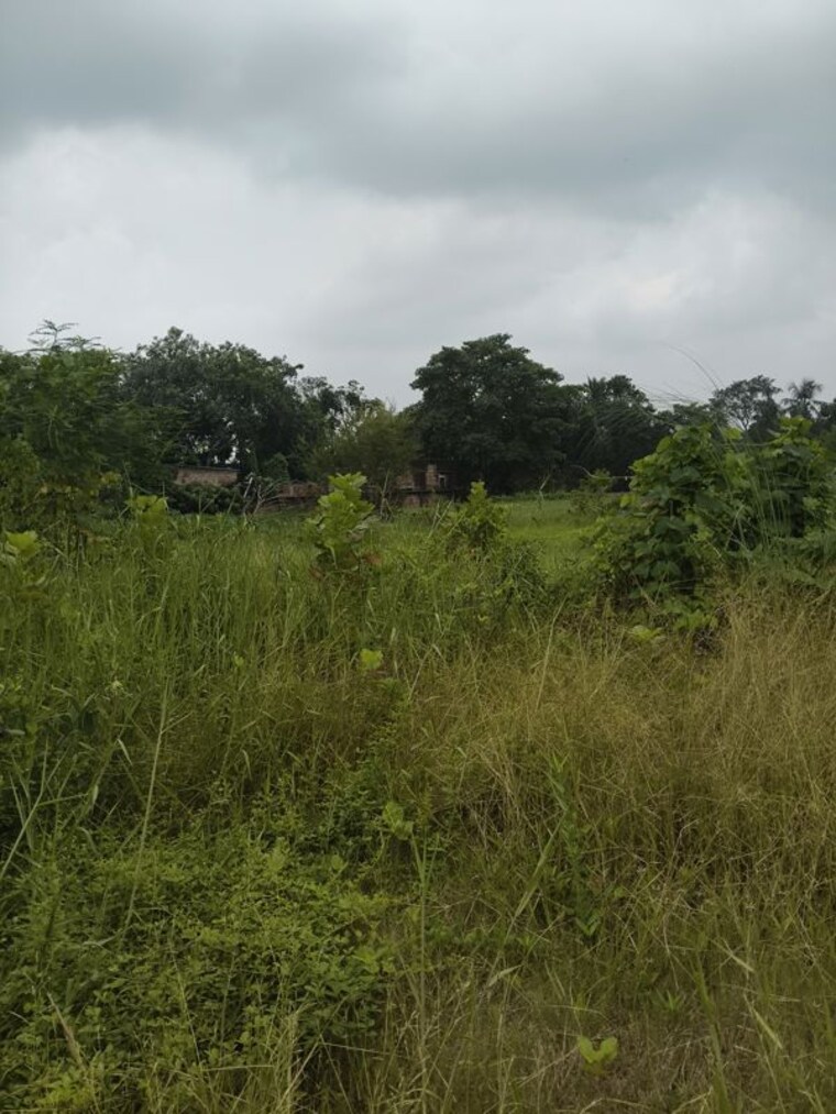 undefined, joka  72000 Sq.Ft. Plot In Joka Kolkata 10618762