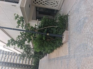 Balcony in 2 BHK Builder Floor at Sector 59 – for Sale