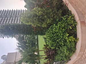 2 BHK Builder Floor – Garden View at Sector 59 - for Sale