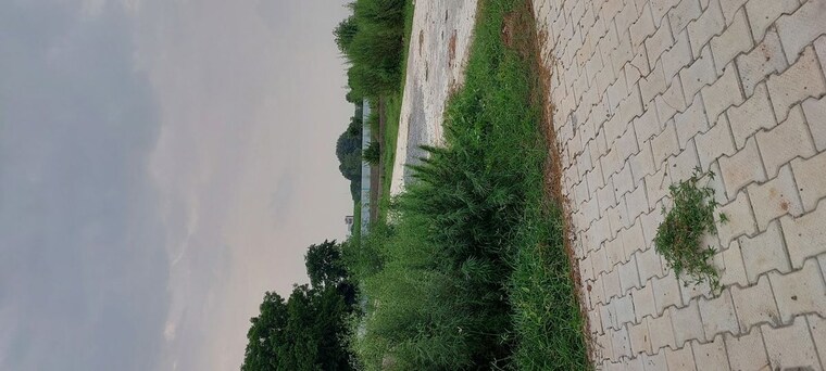 undefined, agra bypass  125 Sq.Yd. Plot In Agra Bypass Agra 10618797