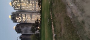 1 BHK Apartment For Sale in Omaxe The Resort, South Mullanpur