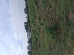 220 Sq.Yd. Plot in Sohna