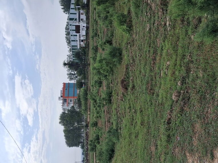 undefined, sohna  220 Sq.Yd. Plot In Sohna Gurgaon 10619033
