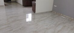2 BHK Builder Floor For Rent in Sector 43