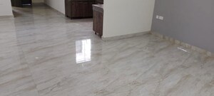 2 BHK Builder Floor For Rent in Sector 43