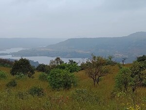 Plot Area in  Plot at Bhor – for Sale