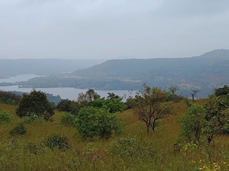 undefined, bhor  40000 Sq.Ft. Plot In Bhor Pune 10619187