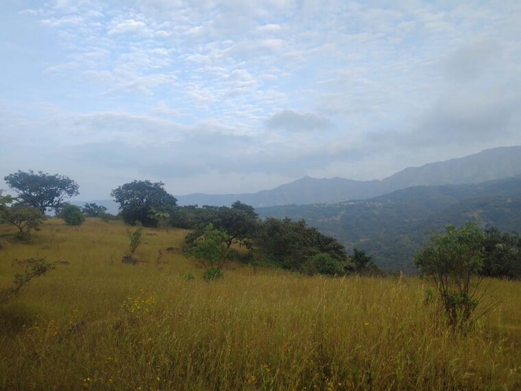 undefined, bhor  40000 Sq.Ft. Plot In Bhor Pune 10619187