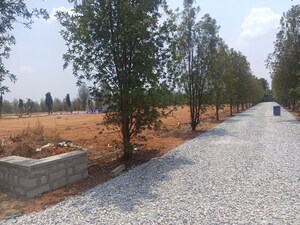 Plot Area in  Plot at Gauribidanur – for Sale