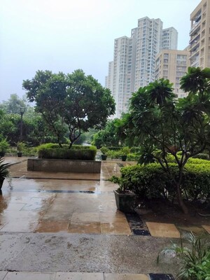 3.5 BHK Apartment For Rent in Jaypee Kalypso Court, Sector 128
