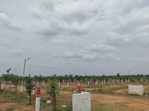 Plot Area in  Plot at Park Town – for Sale
