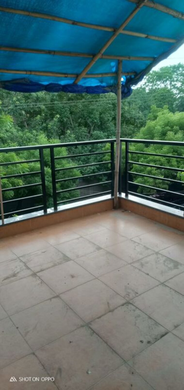 Balcony, vasant kunj 3 Bedroom 1800 Sq.Ft. Apartment In Vasant Kunj Delhi 10619977