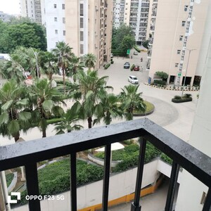 3.5 BHK Apartment For Rent in Orris Aster Court, Sector 85