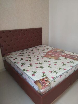 1 BHK Builder Floor For Rent in Sector 23
