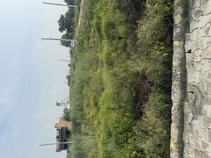  Plot – Garden View at Lalru - for Sale