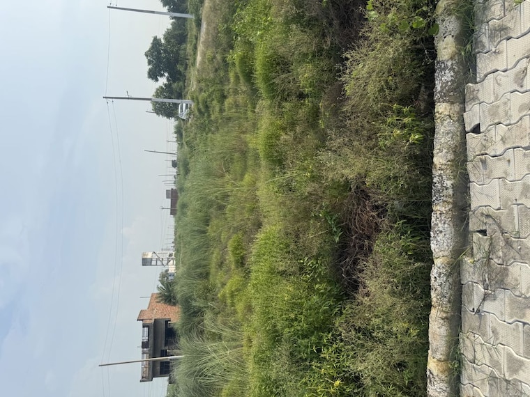 Garden, lalru  105 Sq.Yd. Plot In Lalru Mohali 10611369