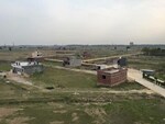 105 Sq.Yd. Plot in Lalru