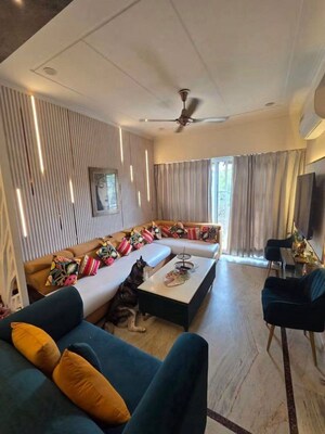 Living Room in 3 BHK Builder Floor at BPTP Amstoria, Sector 102 – for Sale