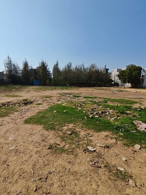 Plot Area in  Warehouse at Pataudi – for Rent
