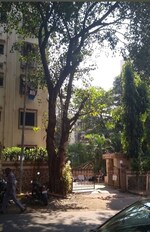 1 BHK + Extra Room 400 Sq.Ft. Apartment in New Gitanjali CHS