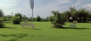 2 BHK Apartment – Garden View at Omaxe The Resort, South Mullanpur - for Rent