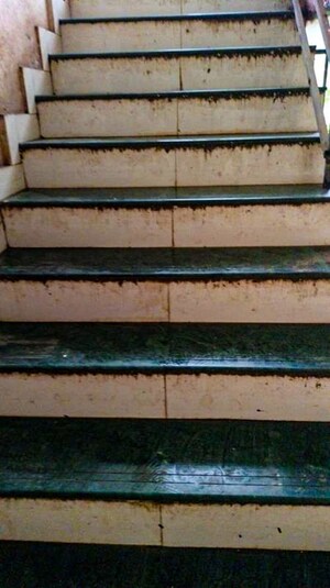 Furnished Amenities in  Apartment at Vasai – for Sale
