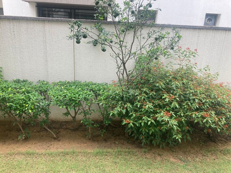 Garden, sobha-international-city-phase-1 5 Bedroom 270 Sq.Yd. Villa In Sector 109 Gurgaon 10620708