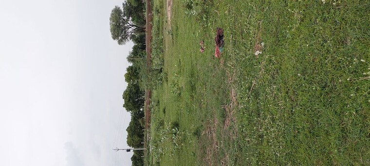 undefined, dhanauli  100 Sq.Yd. Plot In Dhanauli Agra 10621088